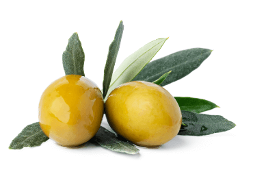 L’huile d’olive est le sauveur de votre peau